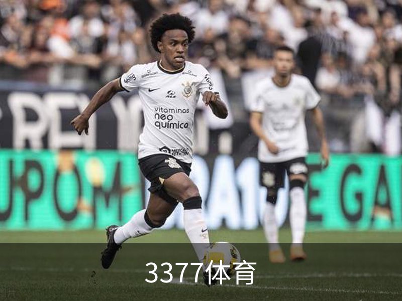3377体育(中国)官方网站-3377SPORTS